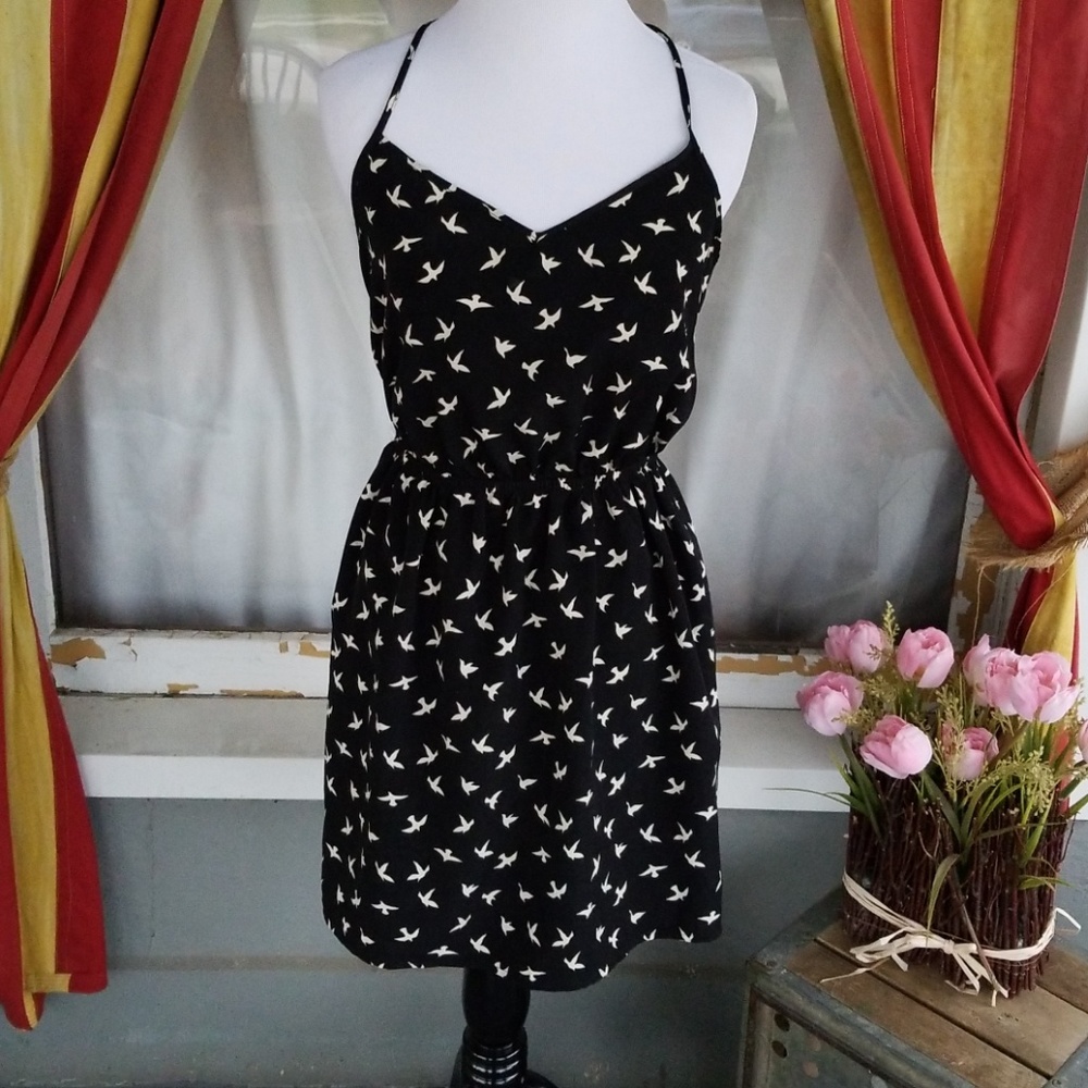 One clothing beautiful black And Cream summer dress Sparrows Womans Size Small